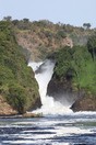 Уганда, национальный парк Мерчизон-Фоллз, исток Нила