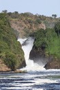 Uganda. Murchison Falls National Park, the Nile river head