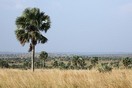 Uganda. Murchison Falls National Park
