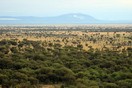 Tanzania. Serengeti National park