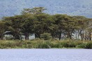 Tanzania. Ngorongoro  Conservation  Area