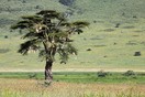 Tanzania. Ngorongoro  Conservation  Area
