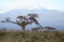 Кения, национальный парк Амбосели, гора Килиманджаро