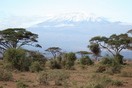 Кения, национальный парк Амбосели, гора Килиманджаро
