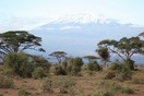 Kenya. Amboseli National Park, Mount Kilimanjaro.