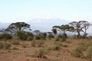 Kenya. Amboseli National Park, Mount Kilimanjaro.