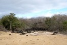 �������, ������������� �������, ������ Santa Maria (Floreana)