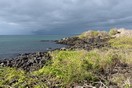 �������, ������������� �������, ������ Santa Maria (Floreana)