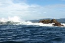 �����-����, Playa Conchal, ����� �����