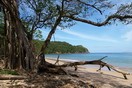 �����-����, Playa Conchal, ����� ������ ������
