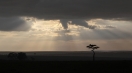 Кения, национальный заповедник Масаи Мара, закат.