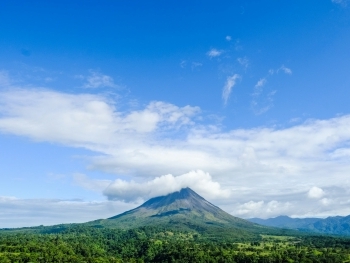 Wildlife Wonders: Costa Rica’s Biodiversity Through Our Lens blog image