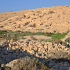 Lost Cities of the Bible: Archaeological Discoveries and Their Significance small image