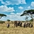 Safari Chronicles: Wildlife Photography in Kenya and Tanzania small image